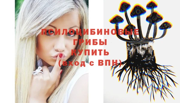 амф Осинники