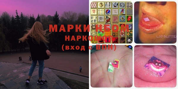 стафф Осташков